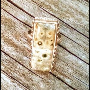 Vintage Sterling Silver Fossil Coral Statement Ring 925 Rectangular Bezel Size 7